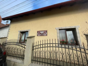 Casa cu Pitici
