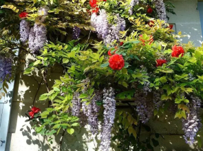 Les Jardins De Camelot