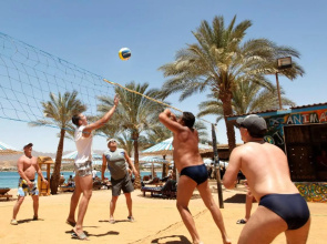 Albatros Sharm Resort - By Pickalbatros