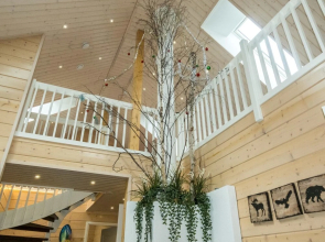 Aurora Kuohunki in Kuohunki