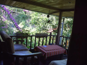 Casa Hospedaje Tingo Maria