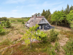 "Izusa" - 4km from the sea in Western Jutland