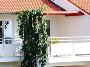 Apartments Levan 153