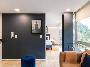 Amazing New Studio Next To Condesa!
