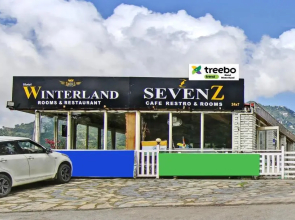 Treebo Trend Winterland
