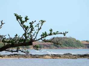 Plub Pla Koh Mak Retreat