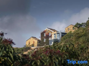 Wenling Jingqin Youshu Homestay