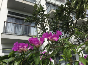 Hoian Tranquil Lodge - Chon Binh Yen