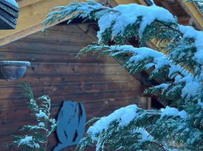 Chalet de l'Ours : 4 étoiles-spa-proche des pistes