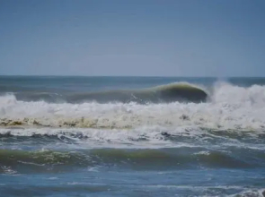 Maitenas Pinamar