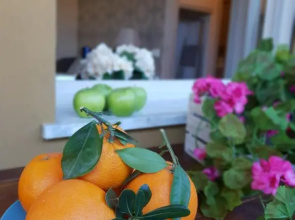 Versilia Apartment