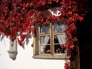 Landgasthof Rössle - Beim Kräuterwirt