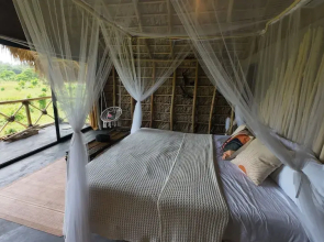 Dominican Jungle Resort
