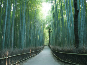 Guest House Kyoto Inn - Hostel