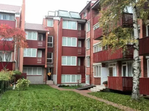 Tomkuva
