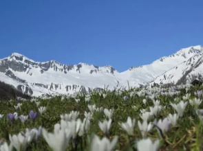 Biohof Krahbichl