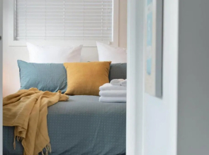 The Little Blue Penguin