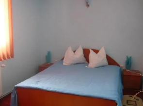 Vila David