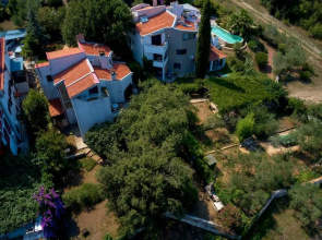 Apartments Dracice 1019