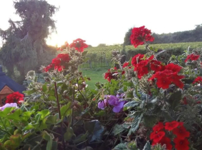 Zum Rebberg Ferienwohnungen