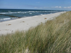 Wiesenstr_78 _Pusteblume_Whg_4