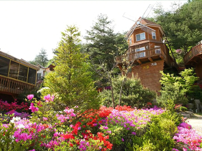Pyeongchang Four Seasons Pension