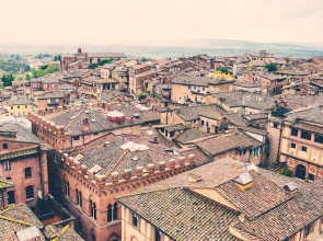 Rinidia Siena Celso Cittadini Grande