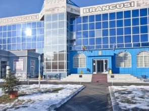 Hotel Brancusi