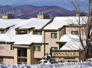 Pinnacle C16