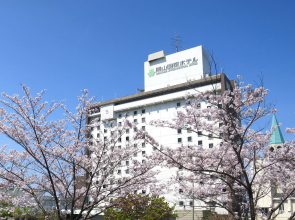 Okayama International Hotel