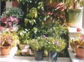 Locanda Montesei