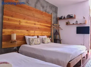 Casa Rico Frade Garden