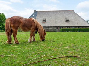 Cozy Apartment near Lake in Arum