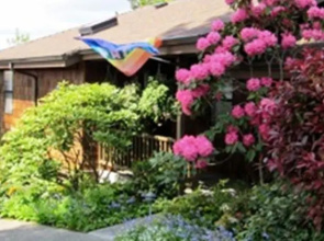 桑德芙住宿加早餐酒店(Soundview Cottage B&B)