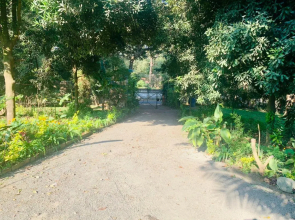 Maura Apartments & Lodge