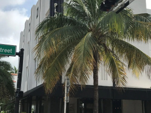 The Beach Plaza Hotel & South Beach Plaza Villas