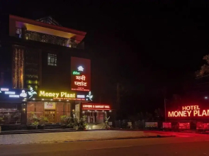 Hotel Money Plant