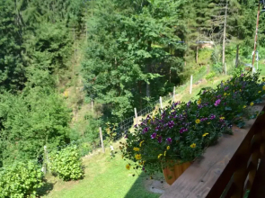 Ferienhaus Waldenstein 1
