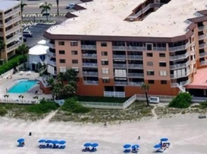 Beach Palms 405