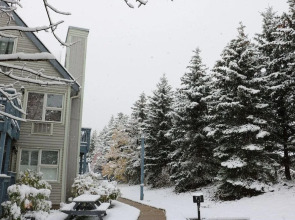 Mountain Springs Resort