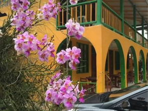 Cabinas Manzanillo Caribe Sur CR