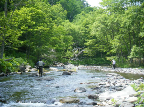 Onsen Pension Mori No Fukuro