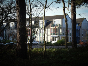 Well-kept Apartment Near sea in Texel