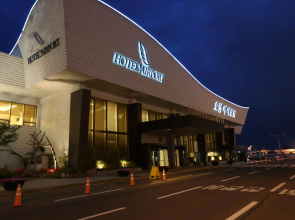 Airport Hotel Daegu