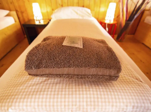 Sust lodge