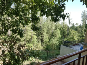 The Grand @ Gharial