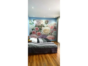Rose Apartment in Tbilisi
