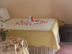 Executive Shaw Park Guest House