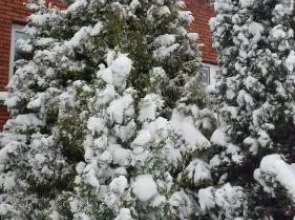 Guest House Lakštingala