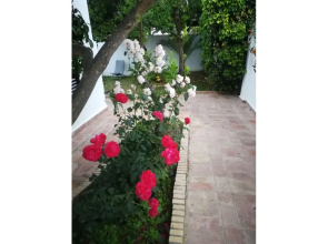 Hostal Frasquita